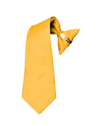 Clip-On Tie