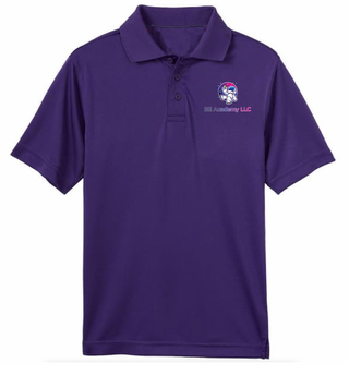 BE Academy LLC Polo