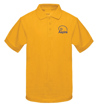 Aspire Academy Polo - GOLD